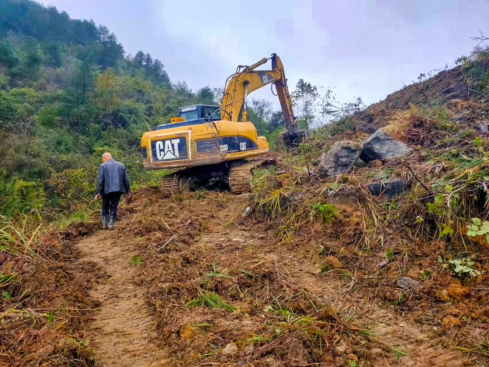 独山山桐子示范基地建设现场 (1).jpg