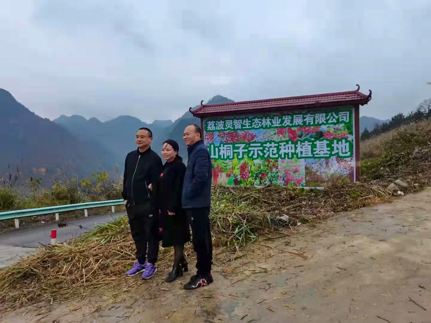 荔波山桐子种植示范基地 (4).jpg